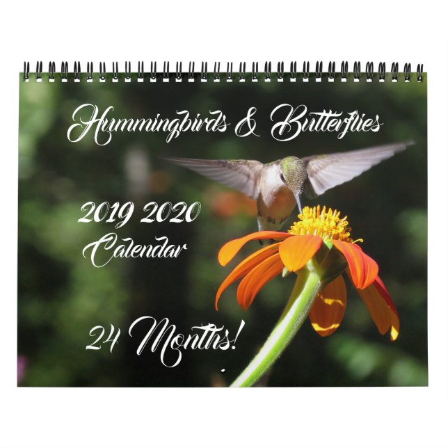 Hummingbirds & Butterflies 2019 2020 Calendar (Cover)