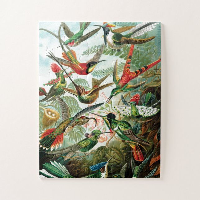 Hummingbirds by Ernst Haeckel Jigsaw Puzzle (Vertical)