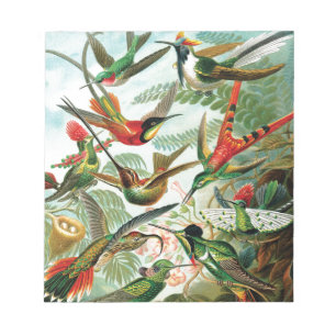 Hummingbirds by Ernst Haeckel Notepad