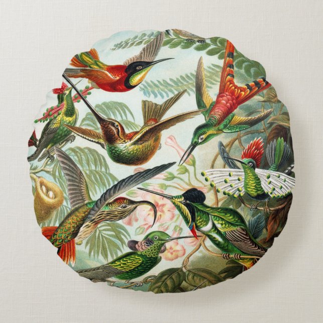 Hummingbirds by Ernst Haeckel Round Cushion (Front)