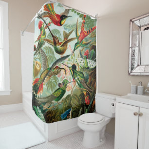 Hummingbirds by Ernst Haeckel Shower Curtain