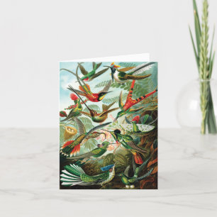Hummingbirds by Ernst Haeckel Thank You Card