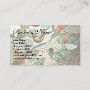 Hummingbirds by Ernst Haeckel, Vintage Birds Trees Business Card