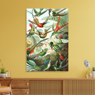 Hummingbirds by Ernst Haeckel, Vintage Birds Trees Canvas Print
