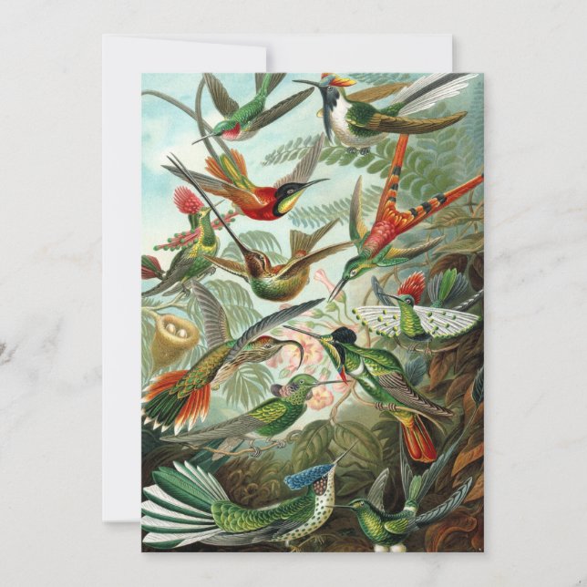 Hummingbirds by Ernst Haeckel, Vintage Birds Trees Invitation (Front)