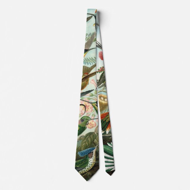 Hummingbirds by Ernst Haeckel, Vintage Birds Trees Tie (Front)