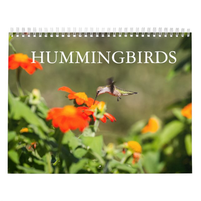 Hummingbirds Calendar (Cover)