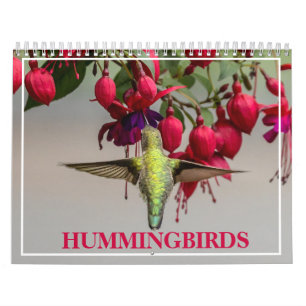 Hummingbirds  calendar