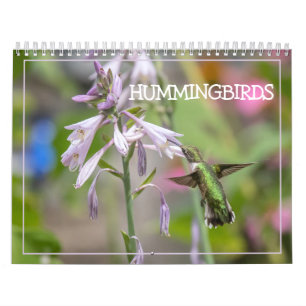 Hummingbirds Calendar
