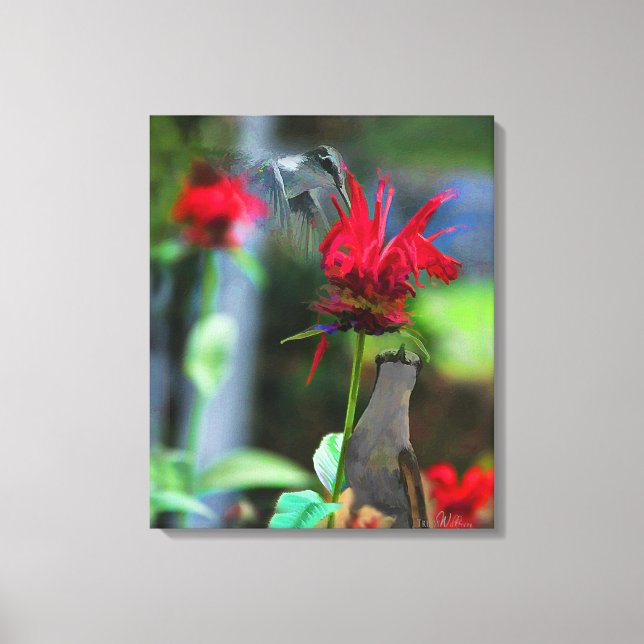 HUMMINGBIRDS- Canvas Print  - 20 x 24 (Front)