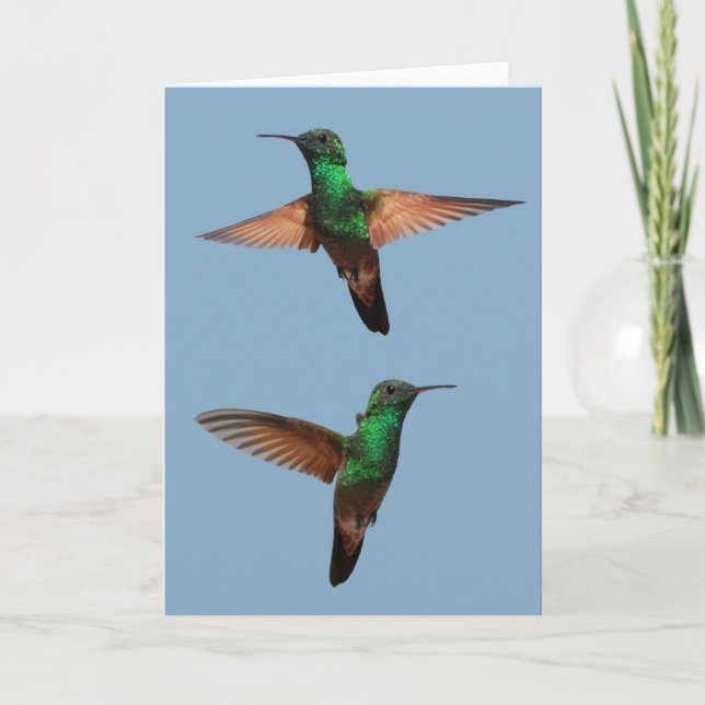 Hummingbirds Card (Front)