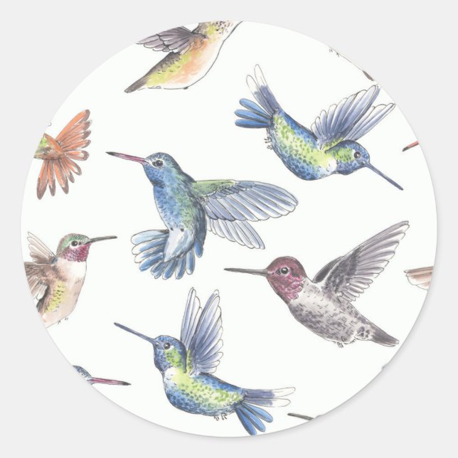 Hummingbirds Classic Round Sticker (Front)