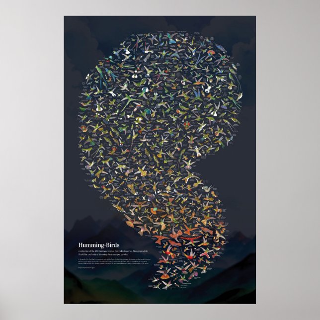 Hummingbirds - Dark Poster (Front)