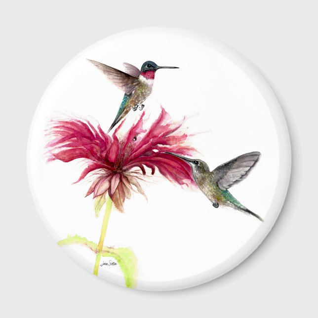 Hummingbirds Floral Watercolor Magnet (Hummingbirds Floral Watercolor Magnet by Jenn Steffen Art)