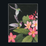 Hummingbirds In the Plumeria Postcard<br><div class="desc">In the Plumeria I by Grace Popp. Two hummingbirds flutter around tropical pink flowers. | 140388GG</div>