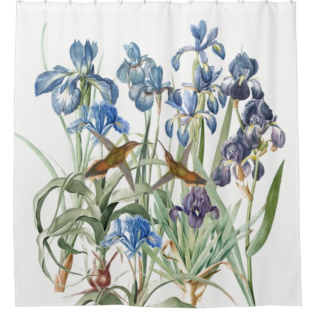 Hummingbirds Iris Flower Garden Shower Curtain (Front)