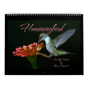 Hummingbirds  Monthly Calendar By Tom Minutolo