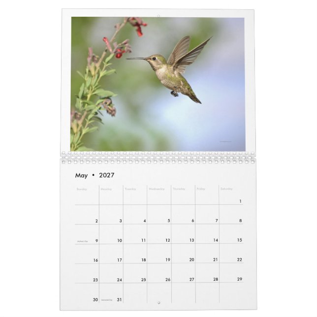 Hummingbirds of California 2024 Calendar (May 2027)