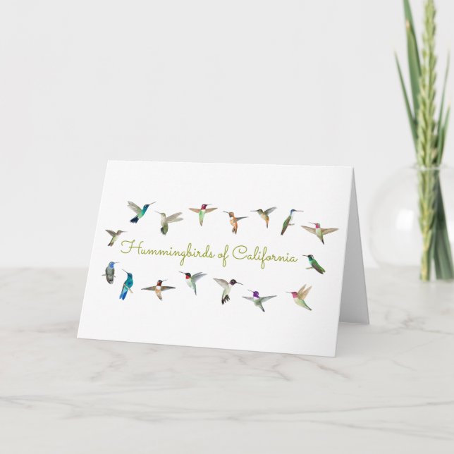 Hummingbirds of California Folded Greeting Card (Front)