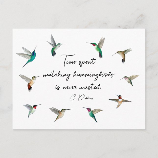 Hummingbirds of North America Postcard (Front)