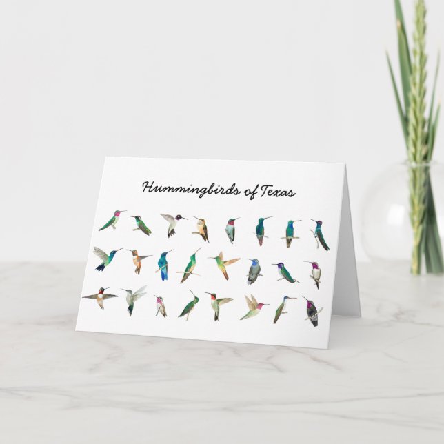 Hummingbirds of Texas Card (Front)