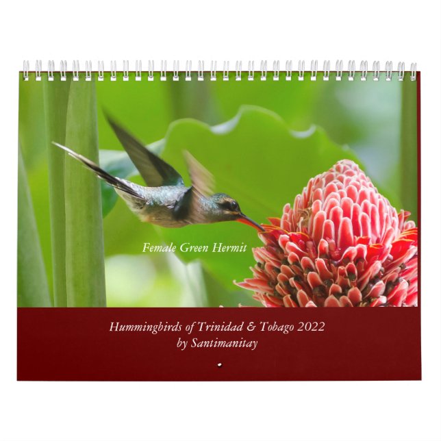Hummingbirds of Trinidad & Tobago 2022 Calendar (Cover)