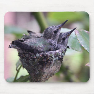 Hummingbirds Photography mousepad