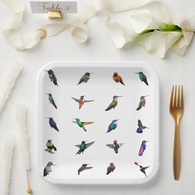 Hummingbirds Plain Background paper plates (Wedding)