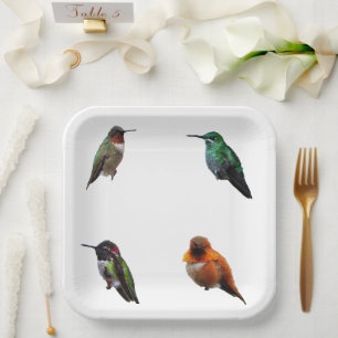 Hummingbirds Plain Background paper plates