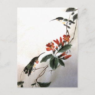 Hummingbirds Postcard