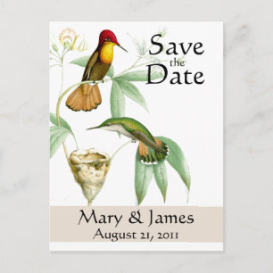 Hummingbirds Save the Date Postcard