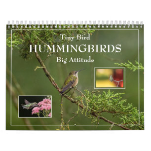  Hummingbirds Tiny Bird Big Attitude Calendar