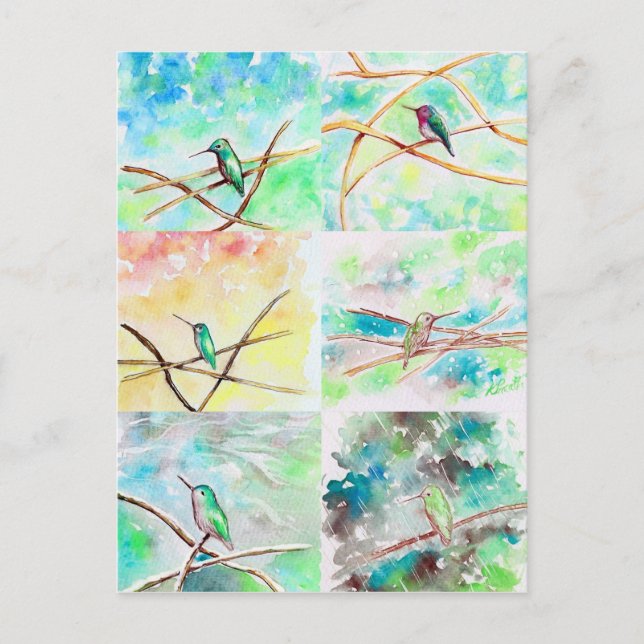 Hummingbirds Watercolor Paintings Postcard (Front)