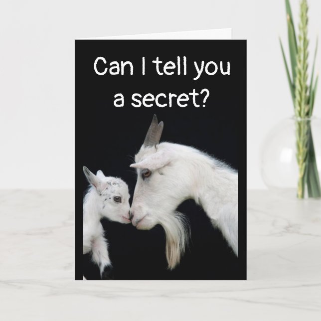 HUMOROUS "BELATED" BIRTHDAY NO BUTTS ABOUT IT! CAR CARD (Front)