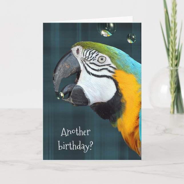 humorous birthday-parrot with bubbles card (Front)