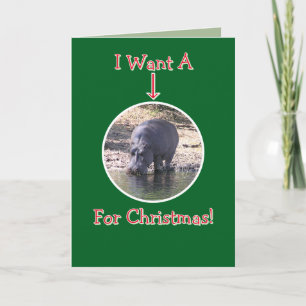 HUMOROUS/HIPPO/"IN CASE YOU DREW MY NAME" HOLIDAY  CARD