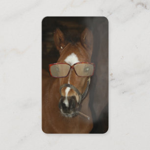 Humorous Horse Foal Smoking Cigar Contact Card