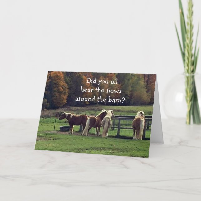 HUMOROUS HORSES KIDDING ABOUT YOUR AGE HOLIDAY CARD (Front)