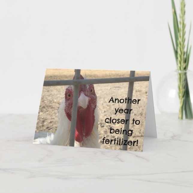 Humorous Old Adult Birthday Card (Front)