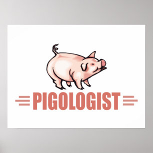 Humorous Pigs Poster
