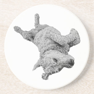 Humour at Rest Coaster