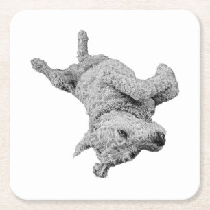 Humour at Rest Square Paper Coaster