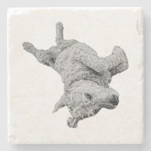 Humour at Rest Stone Coaster