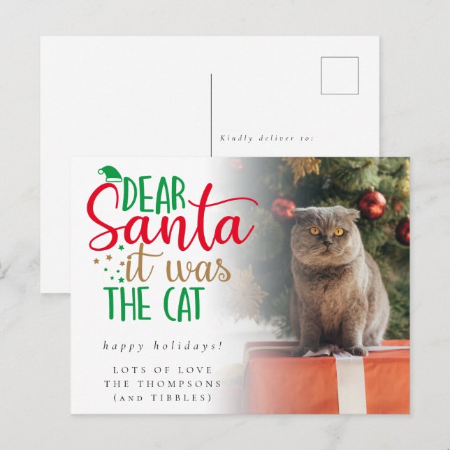 Humour Santa It Was The Cat Photo Holiday Postcard (Front/Back)