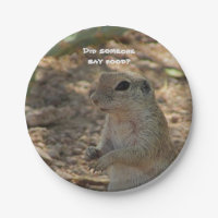 Humourous Adorable Ground Squirrel Photo Southwest