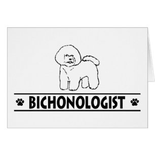 Humourous Bichon Frise