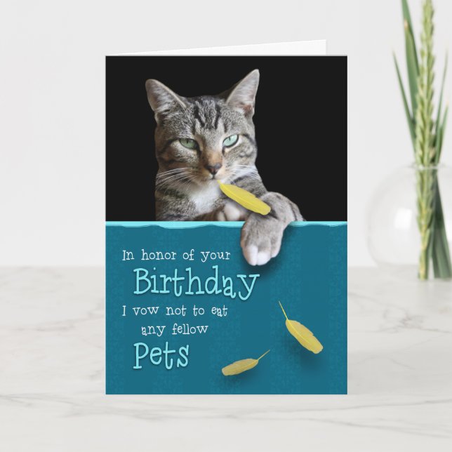 Humourous Birthday Card from the Naughty Cat (Front)