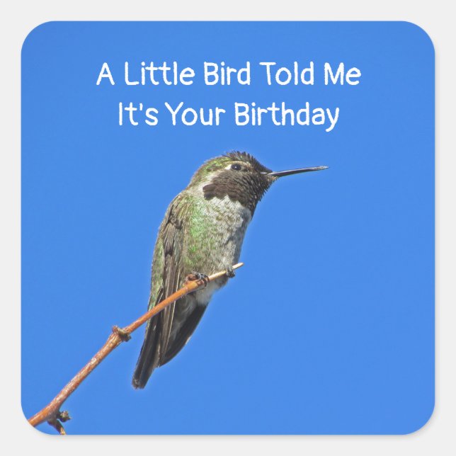 Humourous Birthday Wishes Hummingbird Envelope Sea Square Sticker (Front)