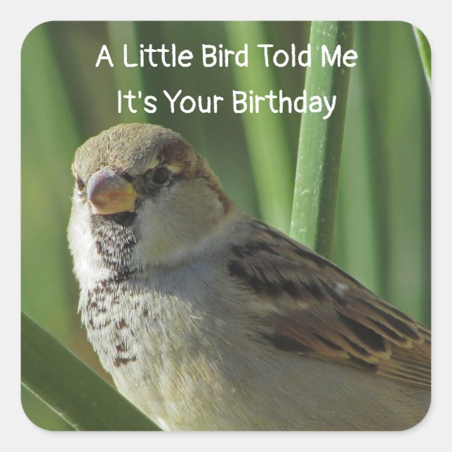 Humourous Birthday Wishes Sparrow Envelope Seal (Front)