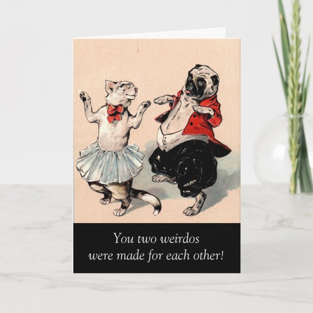 Humourous Cat Dog Anniversary Card (Front)